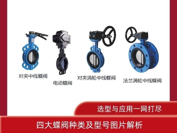 四大蝶閥種類及型號圖片解析：選型與應(yīng)用一網(wǎng)打盡