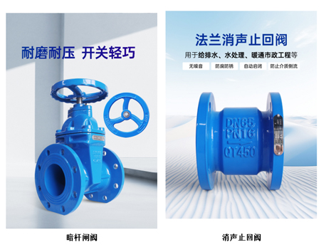 水泵出水管先裝止回閥還是先裝閘閥-艾德默閥門