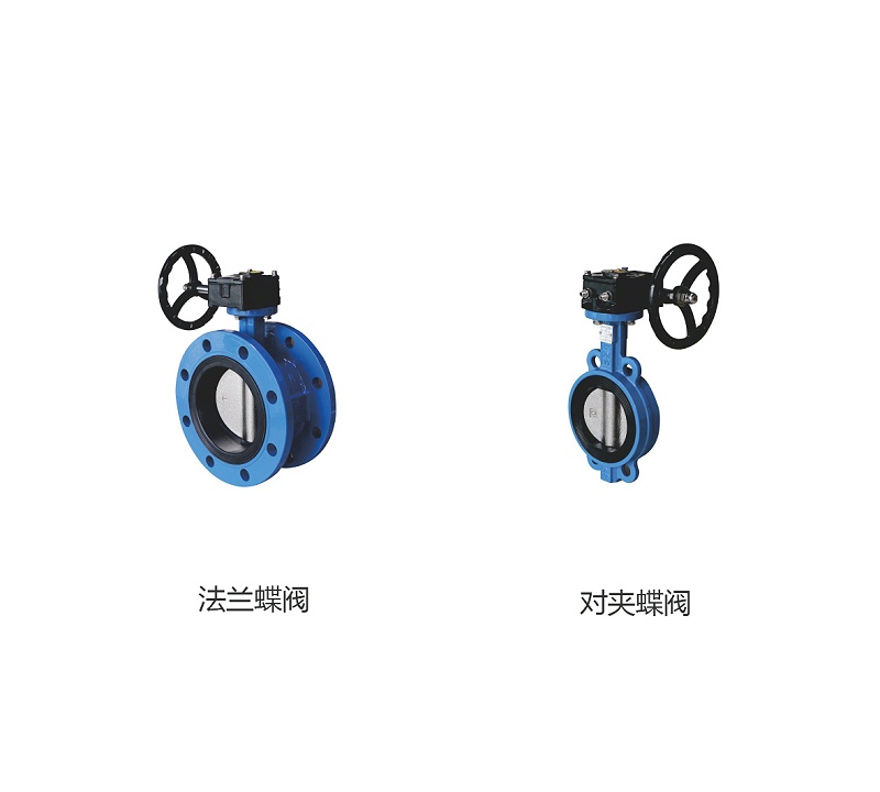艾德默揭秘，法蘭蝶閥與對夾蝶閥哪個貴？